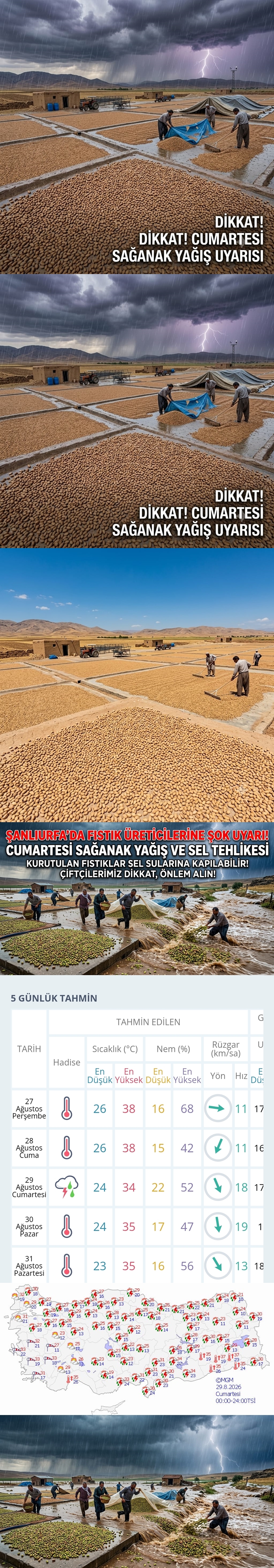 ŞANLIURFA’DA FISTIK ÜRETİCİLERİNE SAĞANAK UYARISI