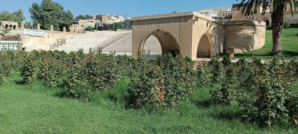 Balıklıgöl Bakımsız ve Sahipsiz Kaldı
