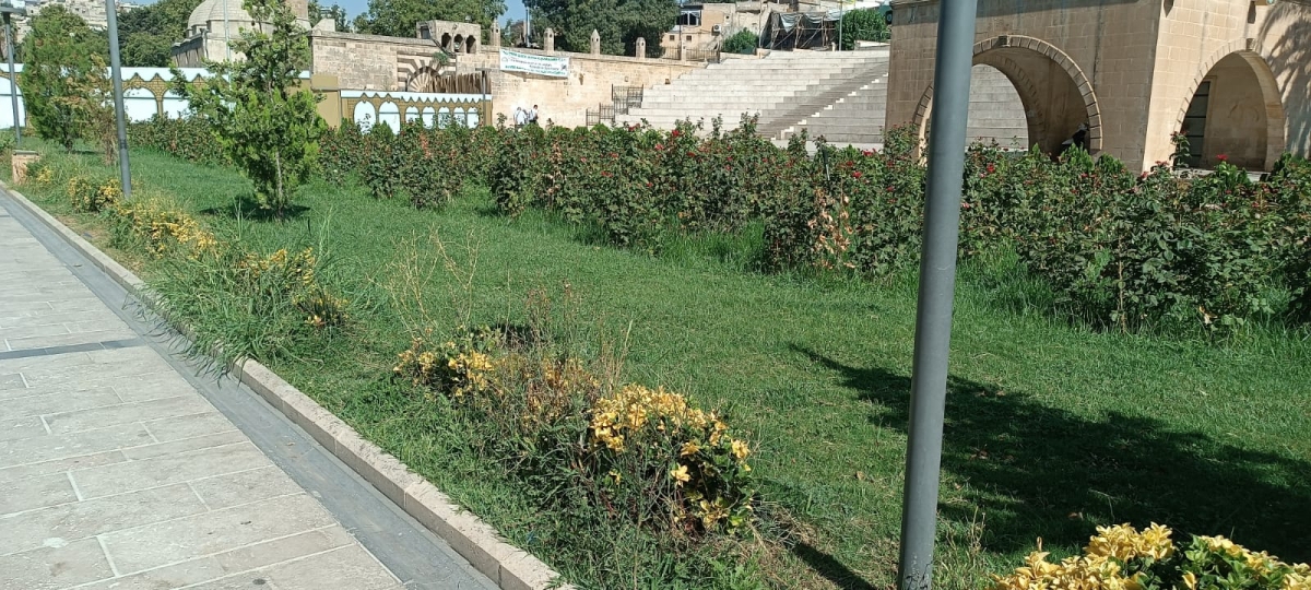 Balıklıgöl Bakımsız ve Sahipsiz Kaldı