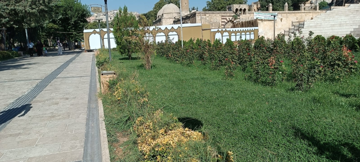 Balıklıgöl Bakımsız ve Sahipsiz Kaldı