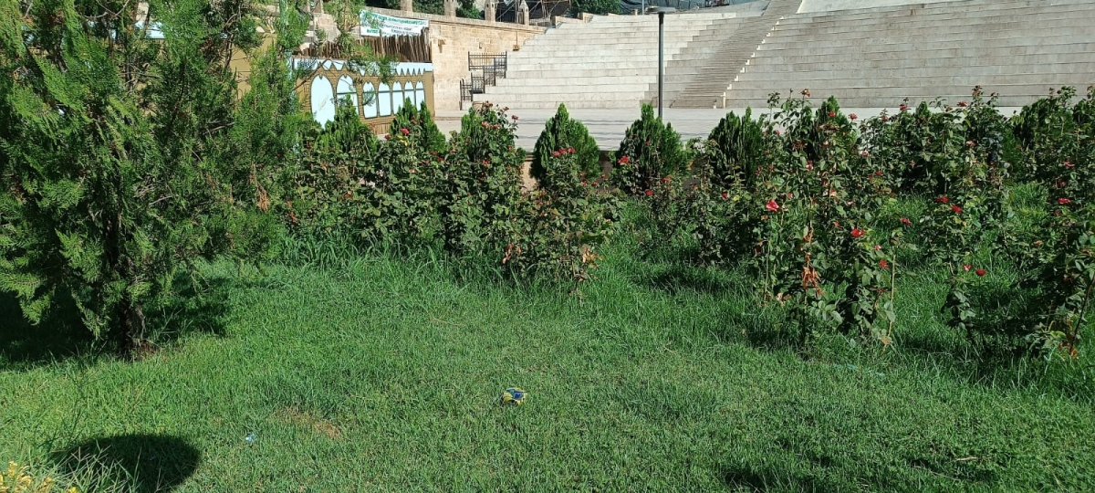 Balıklıgöl Bakımsız ve Sahipsiz Kaldı