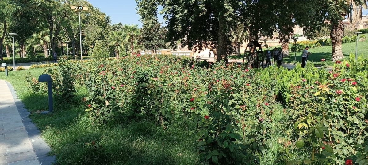 Balıklıgöl Bakımsız ve Sahipsiz Kaldı