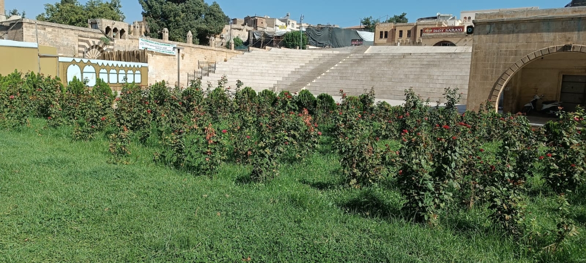 Balıklıgöl Bakımsız ve Sahipsiz Kaldı