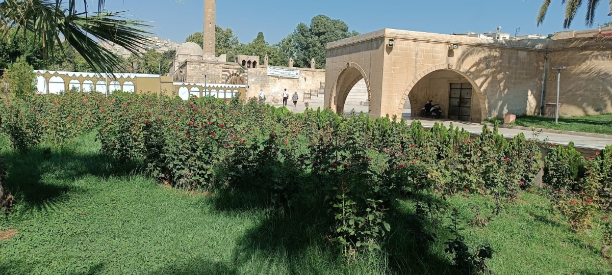 Balıklıgöl Bakımsız ve Sahipsiz Kaldı