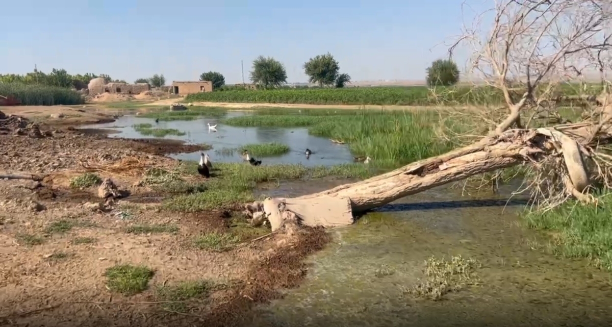 Suruç’ta Yükselen taban suyu mahalleyi adeta bataklığa çevirdi