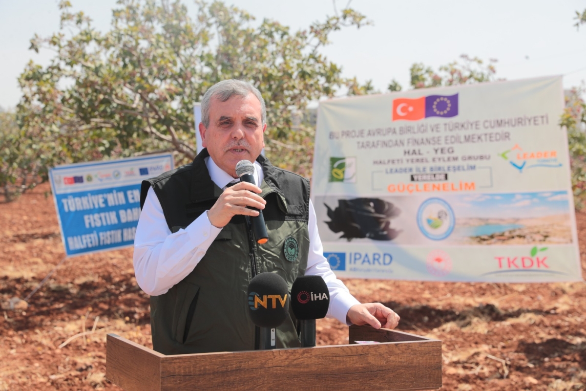 “TÜRKİYE’DEKİ FISTIĞIN YÜZDE 50’SİNİ TEK BAŞINA ŞANLIURFA ÜRETİYOR”