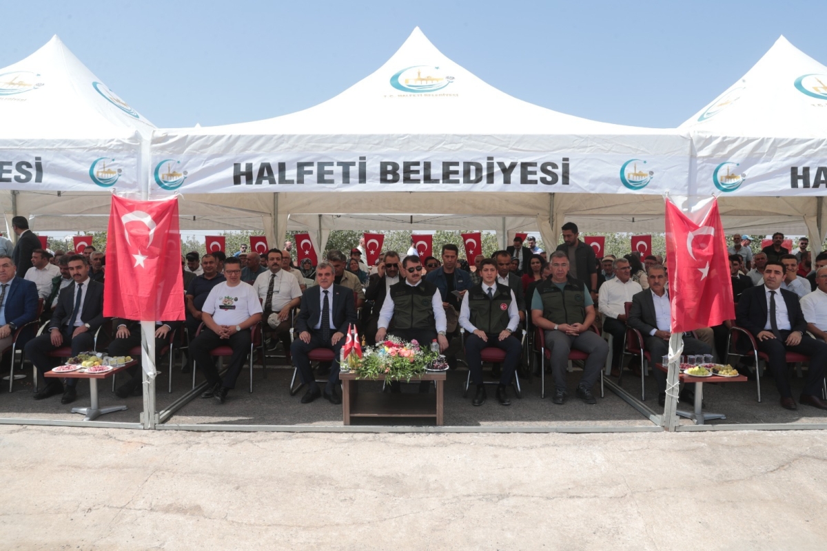 “TÜRKİYE’DEKİ FISTIĞIN YÜZDE 50’SİNİ TEK BAŞINA ŞANLIURFA ÜRETİYOR”