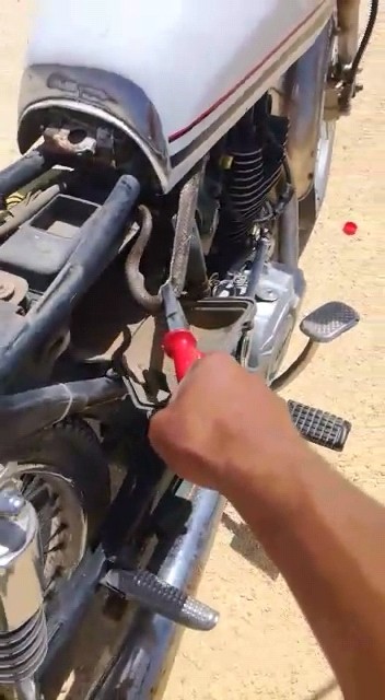 Şanlıurfa’da Motosiklet sürücüsünün yılan ile imtihanı