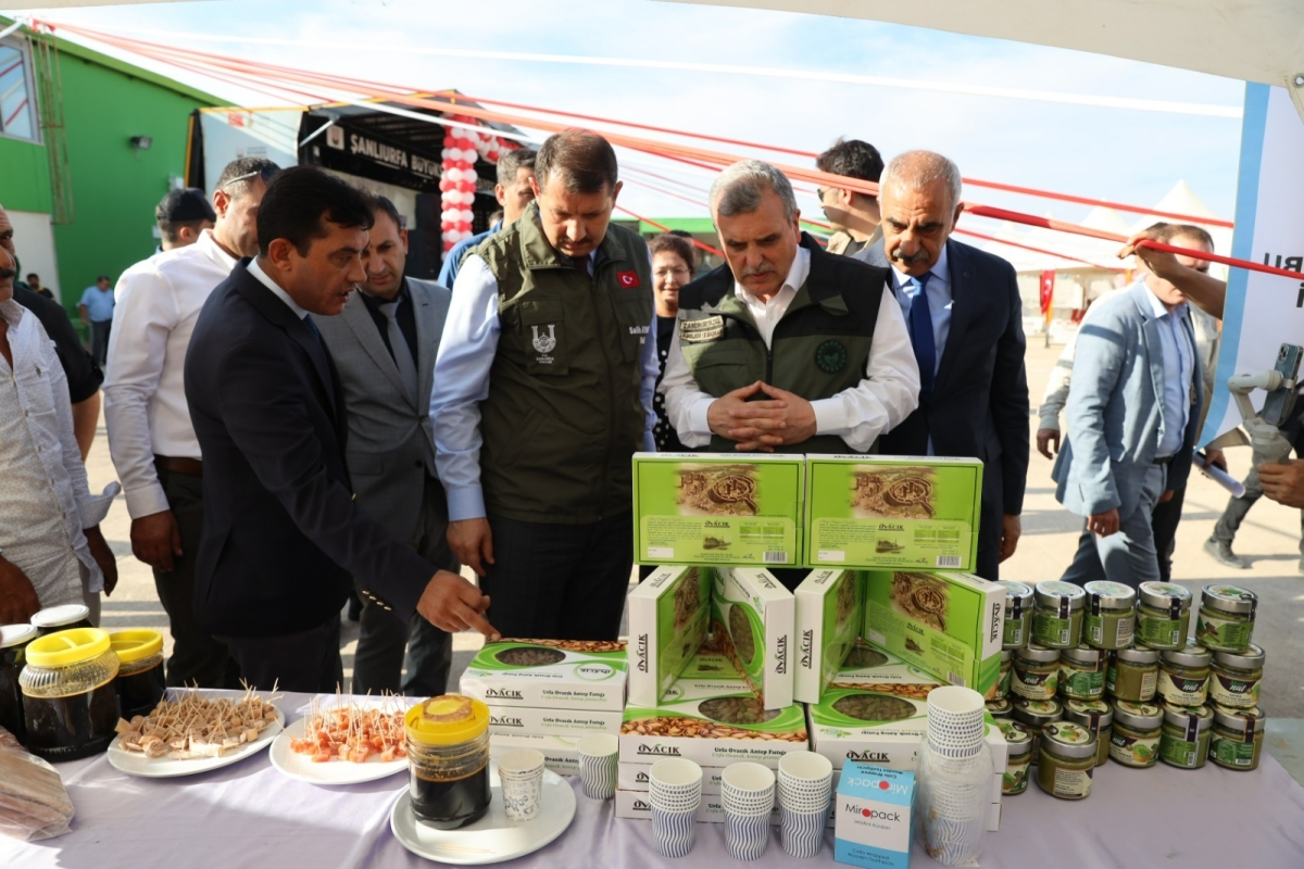HİLVAN’DA ŞİRE ŞENLİĞİ