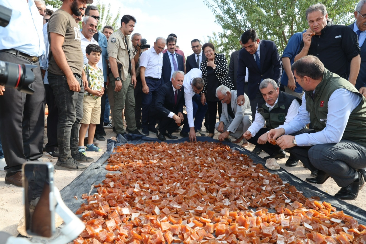 HİLVAN’DA ŞİRE ŞENLİĞİ