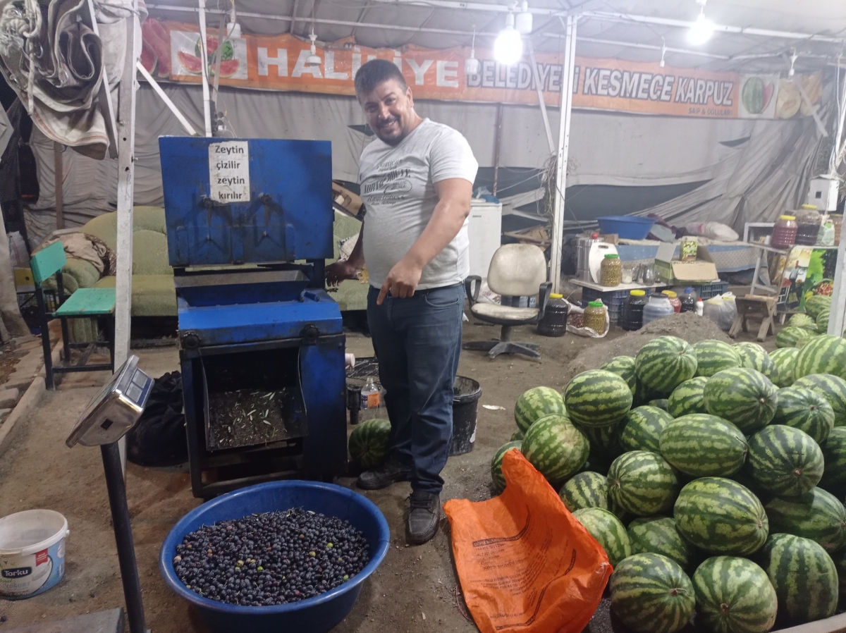 Şanlıurfa'da Salamura Zeytin Sezonu Başladı