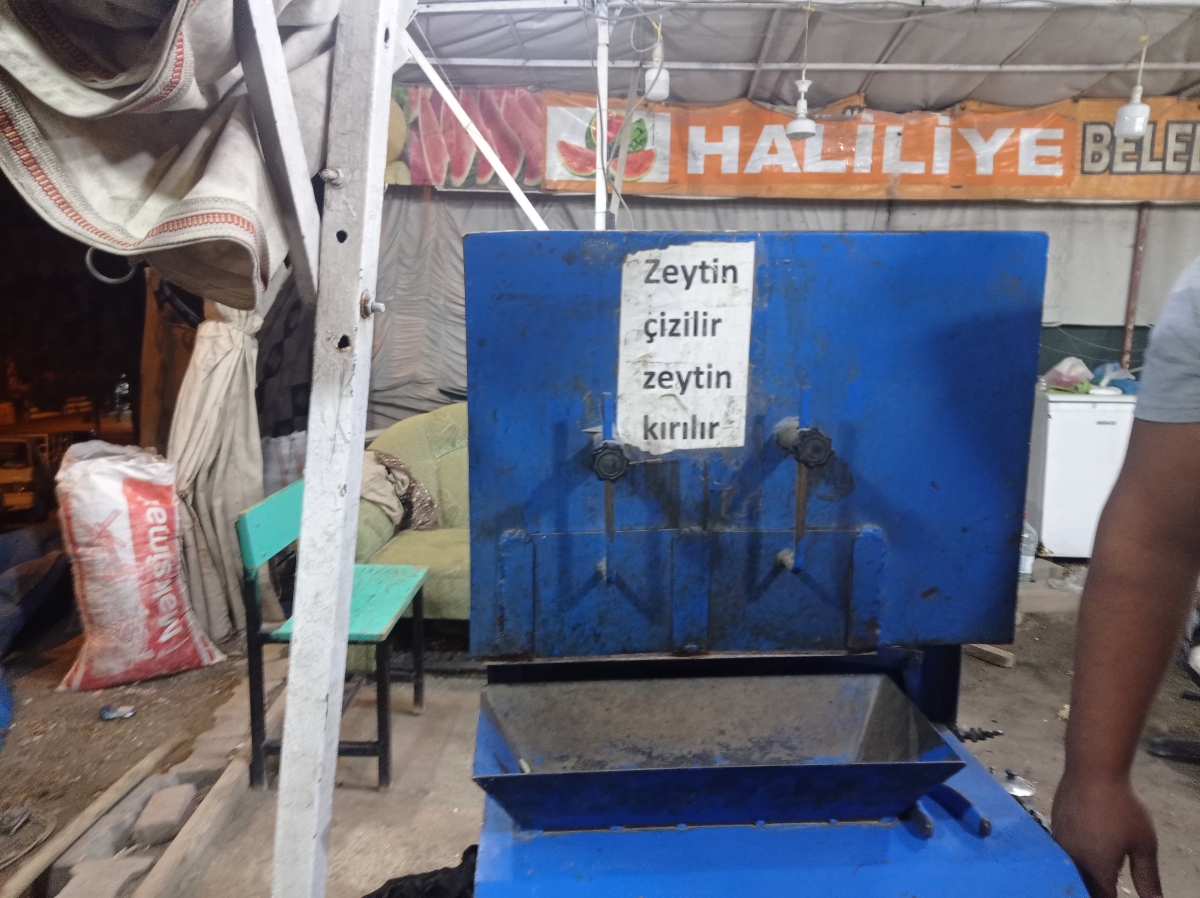 Şanlıurfa'da Salamura Zeytin Sezonu Başladı