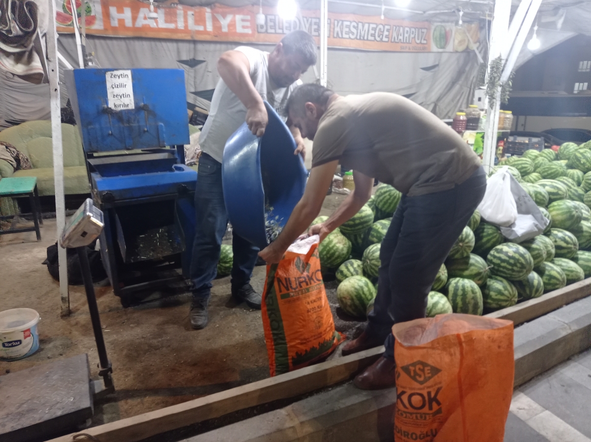 Şanlıurfa'da Salamura Zeytin Sezonu Başladı