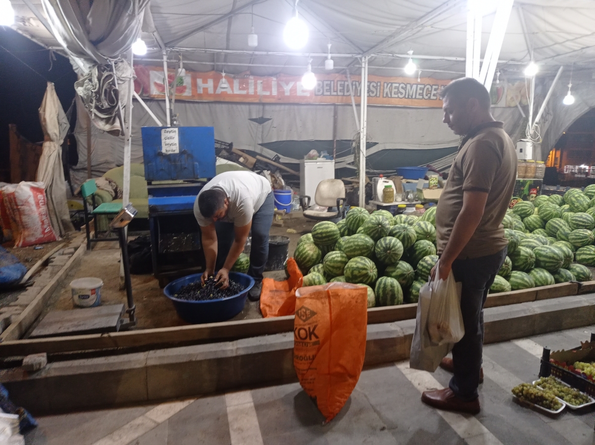Şanlıurfa'da Salamura Zeytin Sezonu Başladı