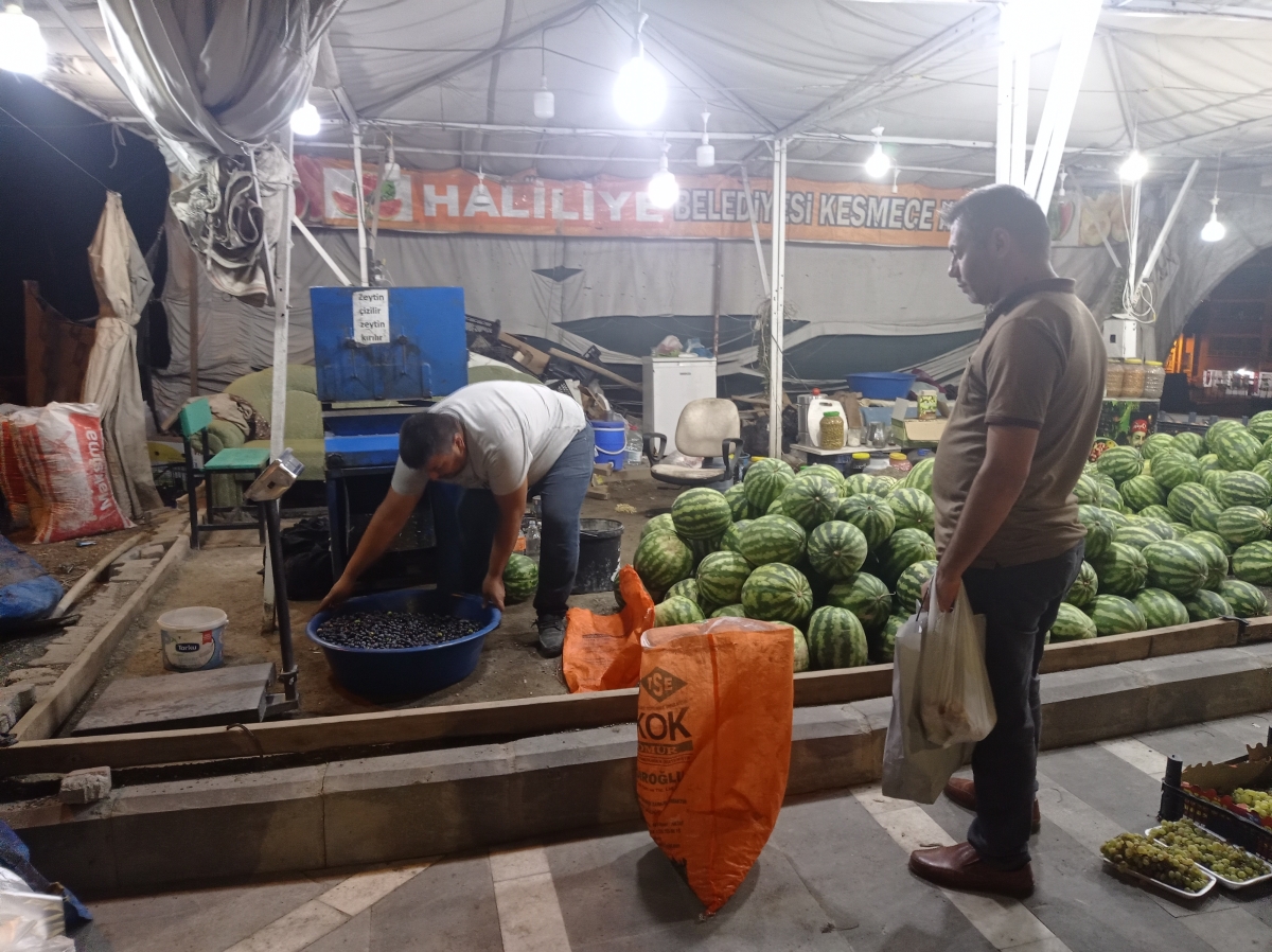 Şanlıurfa'da Salamura Zeytin Sezonu Başladı