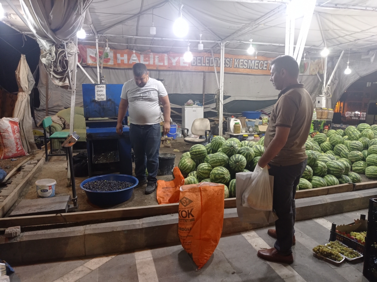 Şanlıurfa'da Salamura Zeytin Sezonu Başladı