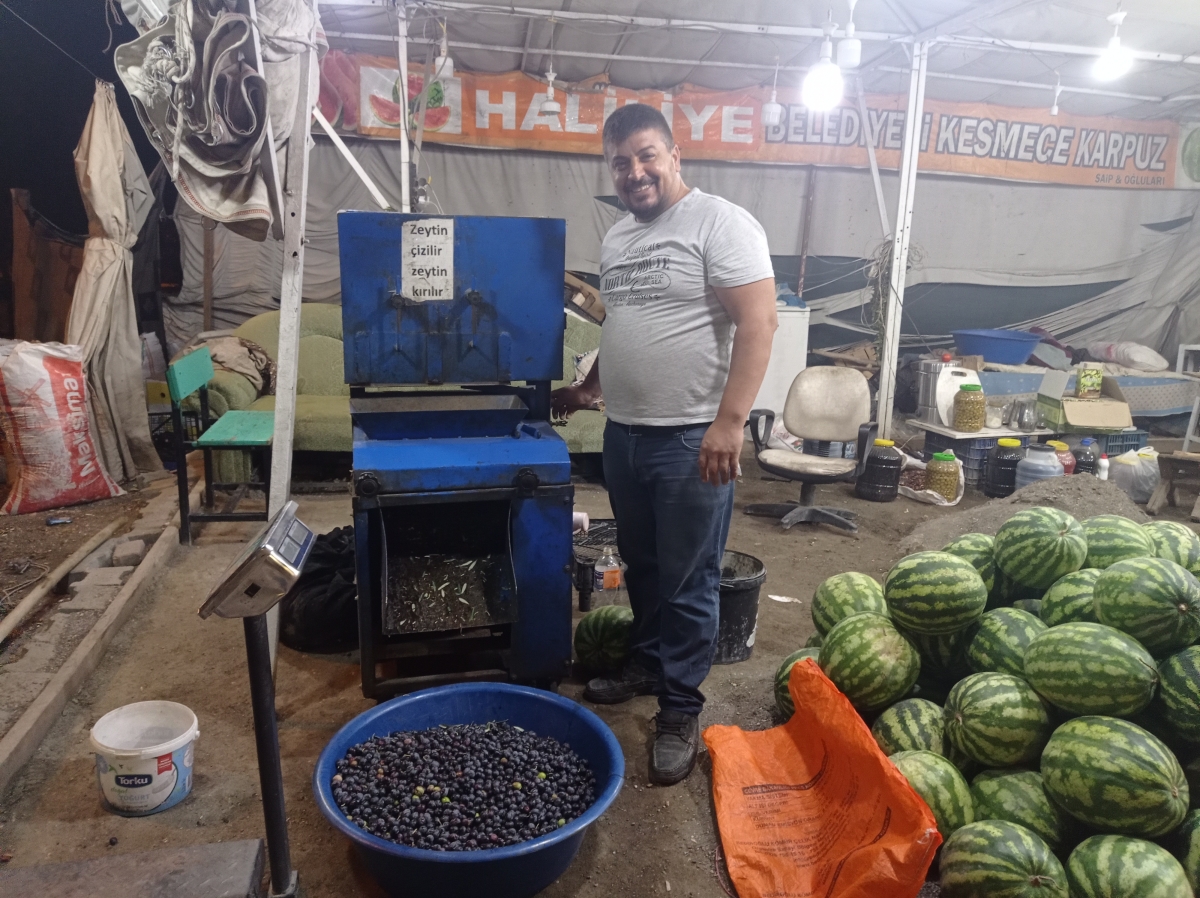 Şanlıurfa'da Salamura Zeytin Sezonu Başladı