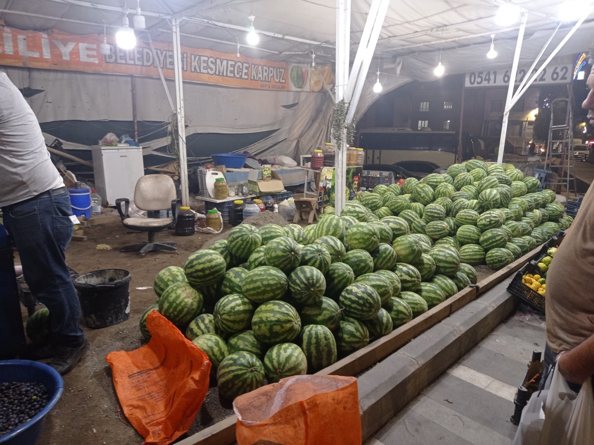 Şanlıurfa'da Salamura Zeytin Sezonu Başladı