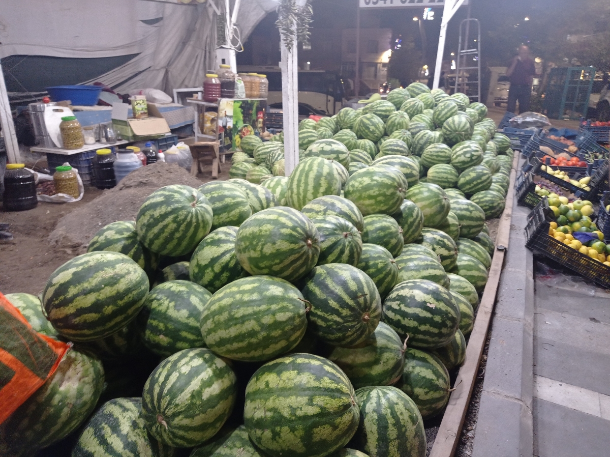 Şanlıurfa'da Salamura Zeytin Sezonu Başladı