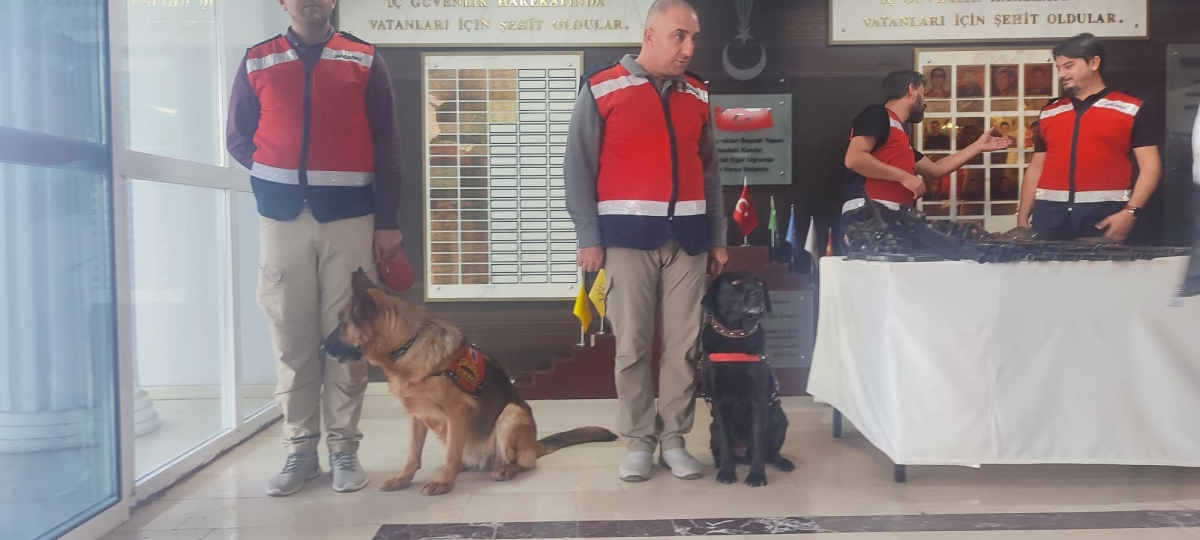 Şanlıurfa Jandarmasından Dev Operasyon: 100 Gözaltı