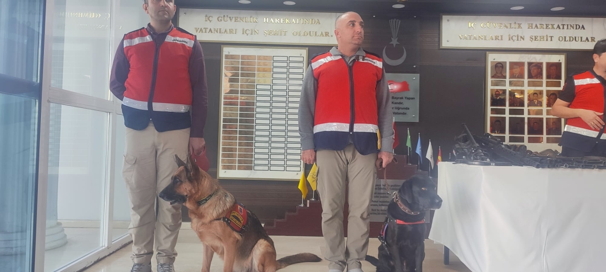 Şanlıurfa Jandarmasından Dev Operasyon: 100 Gözaltı