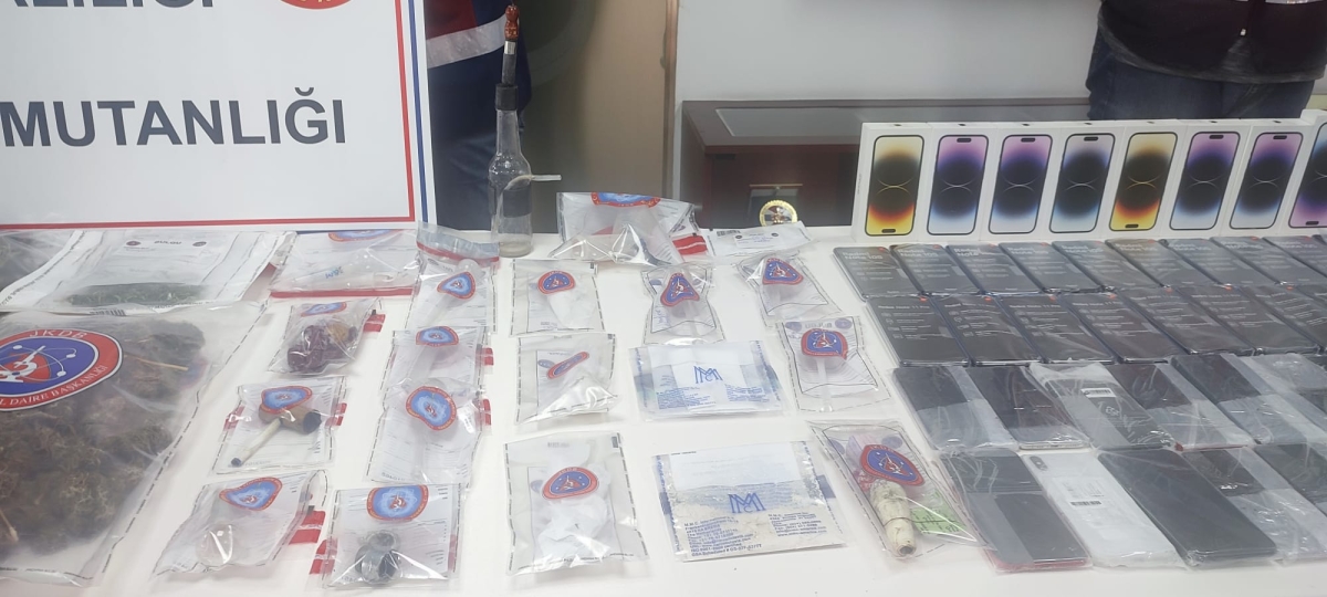 Şanlıurfa Jandarmasından Dev Operasyon: 100 Gözaltı