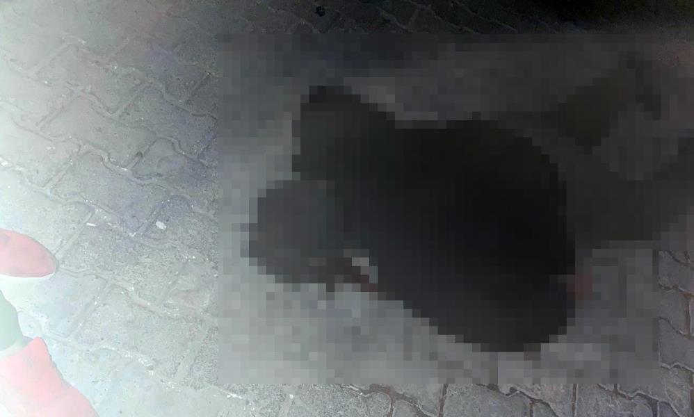 Şanlıurfa’da iki kardeşe sokakta infaz