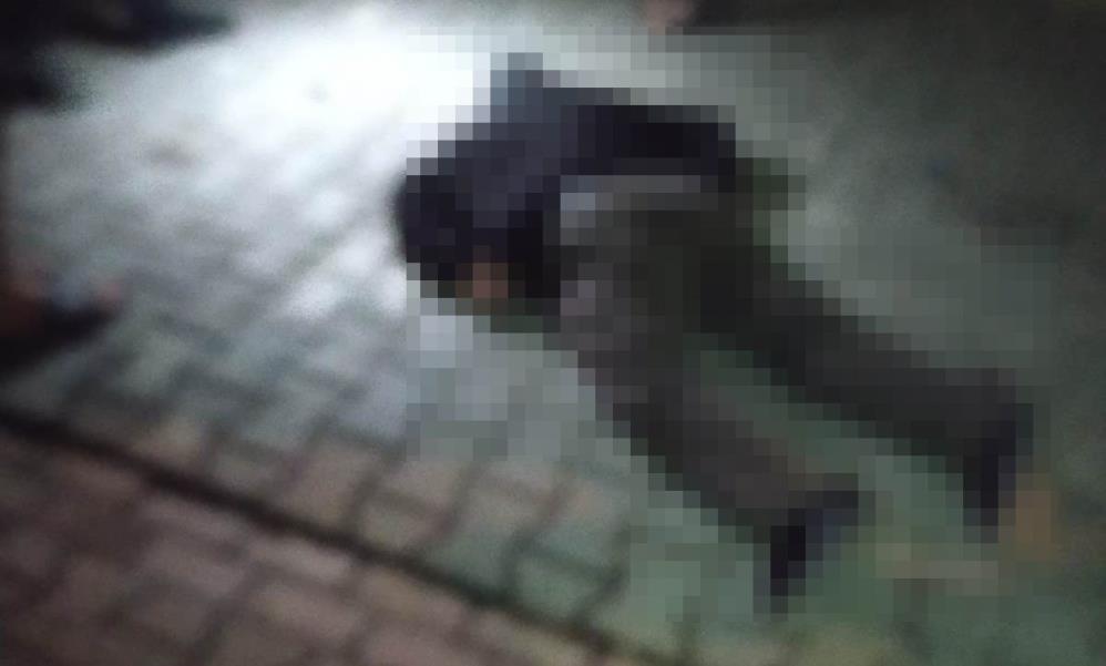 Şanlıurfa’da iki kardeşe sokakta infaz
