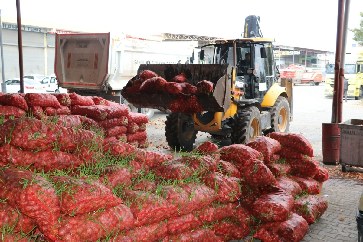 BÜYÜKŞEHİR ZABITA’DAN DENETİM, ÇÜRÜMÜŞ 22 TON SOĞAN İMHA EDİLDİ