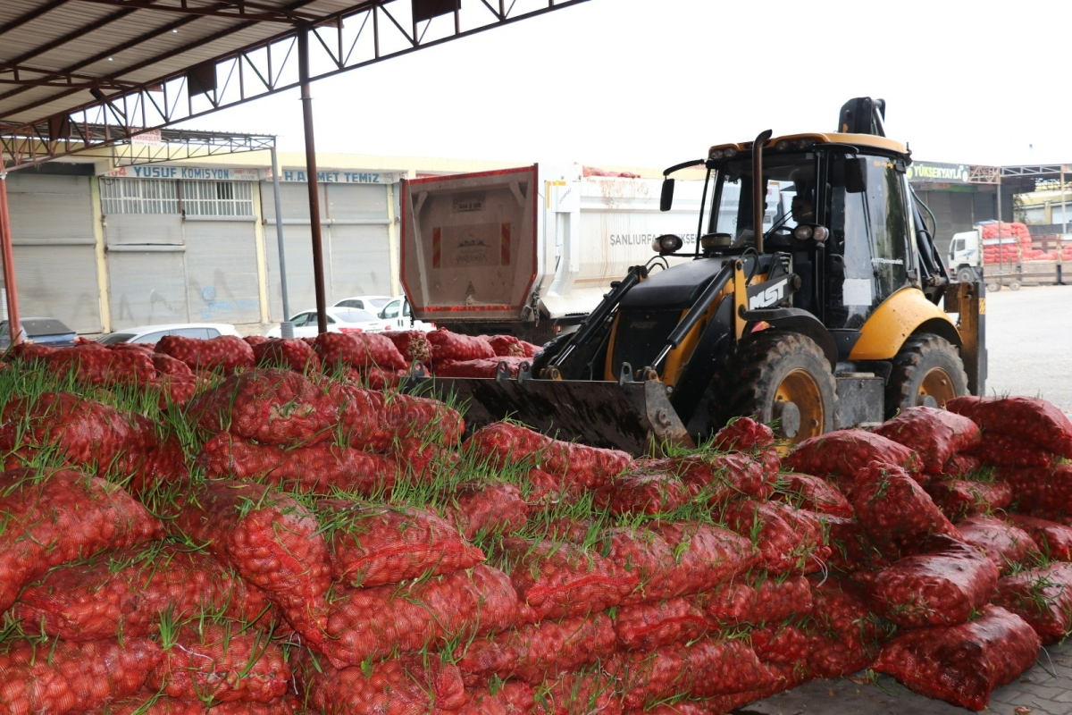 BÜYÜKŞEHİR ZABITA’DAN DENETİM, ÇÜRÜMÜŞ 22 TON SOĞAN İMHA EDİLDİ
