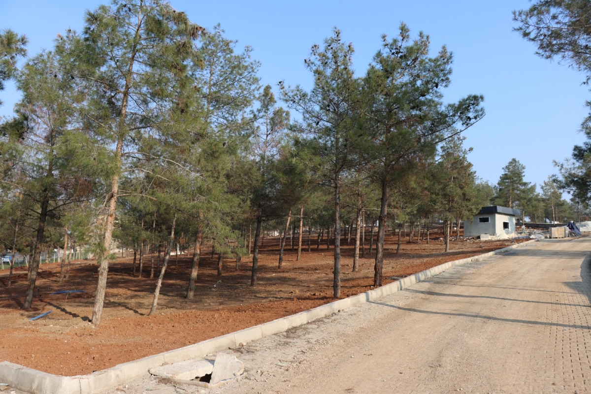 AKABE MESİRE ALANINDAKİ ÇALIŞMALARDA SONA YAKLAŞILDI