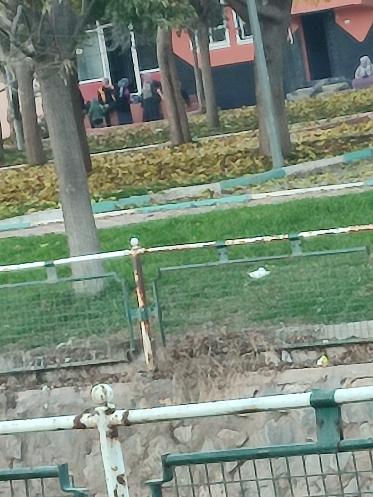 Spor Haberleri