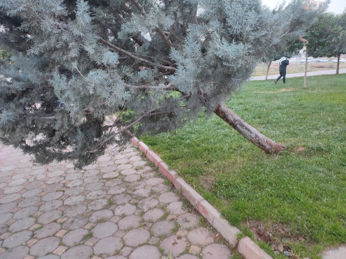 Şanlıurfa'daki bu Park talan edildi