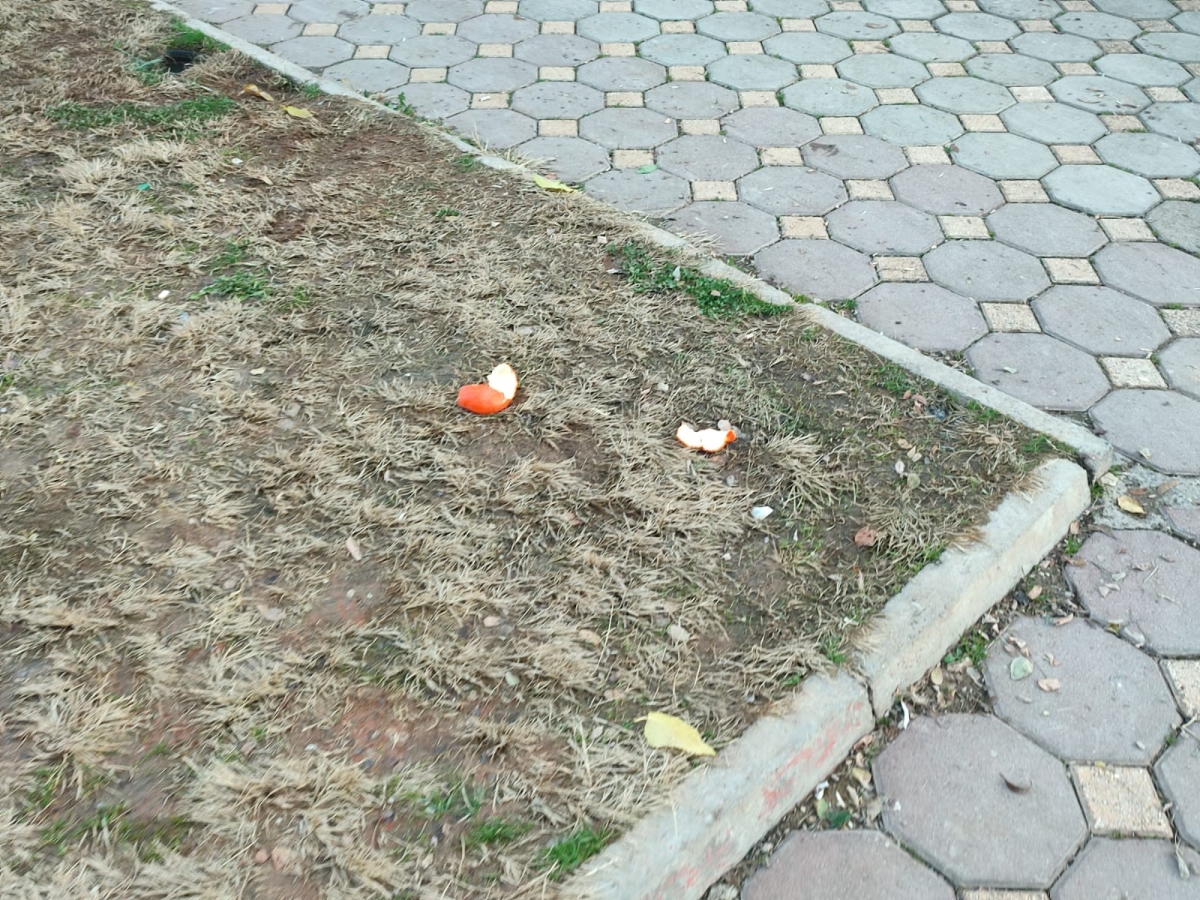 Şanlıurfa'daki bu Park talan edildi