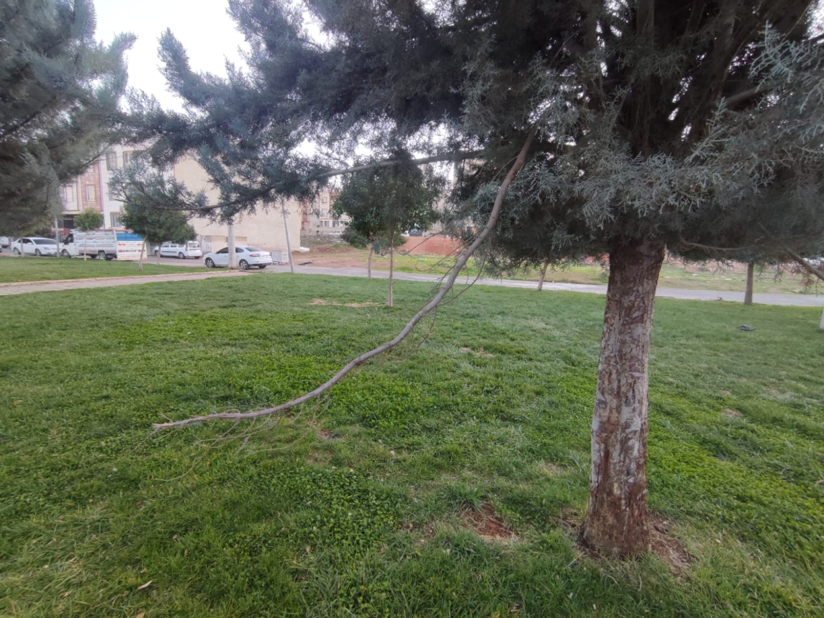 Şanlıurfa'daki bu Park talan edildi
