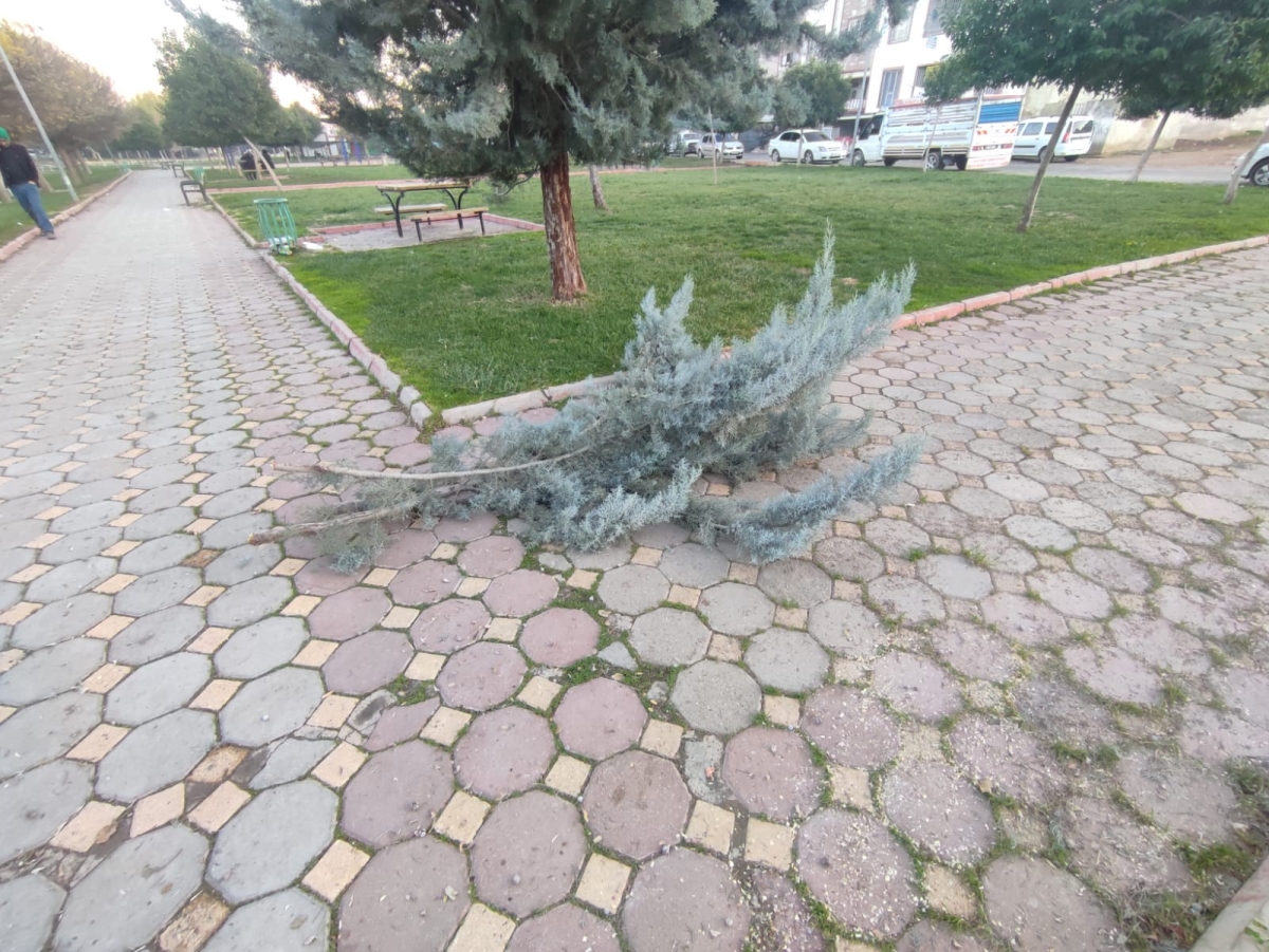 Şanlıurfa'daki bu Park talan edildi