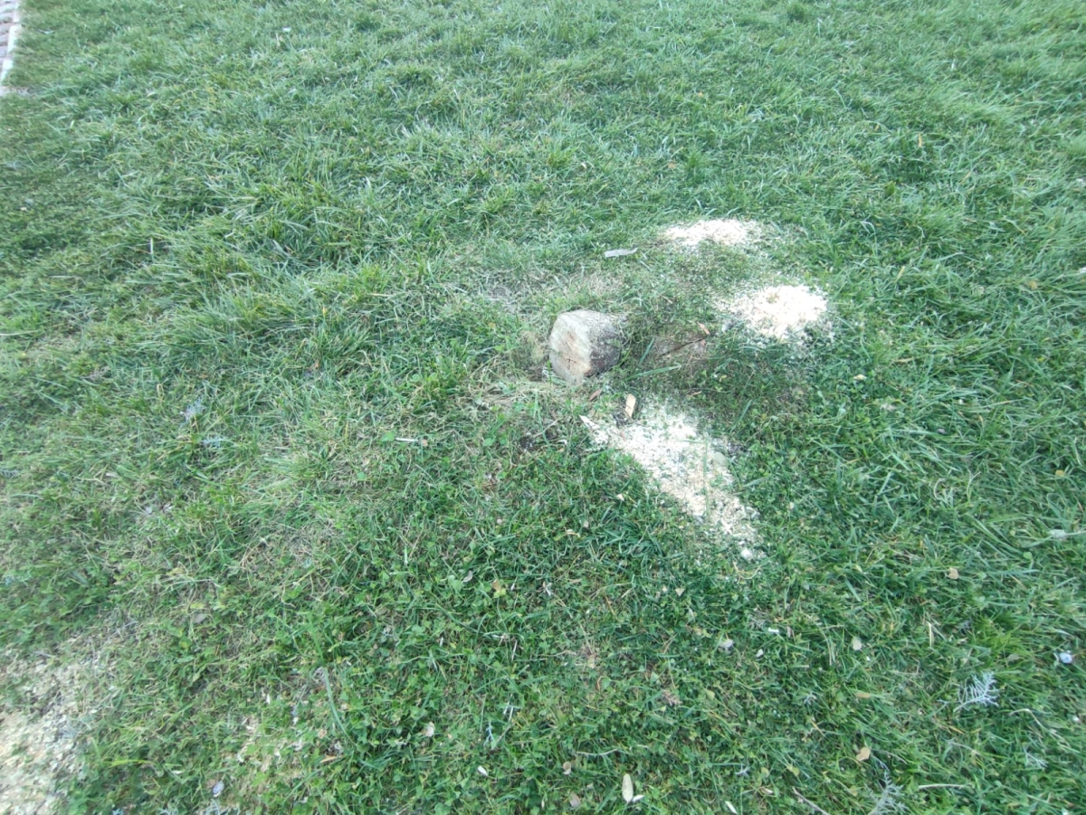 Şanlıurfa'daki bu Park talan edildi