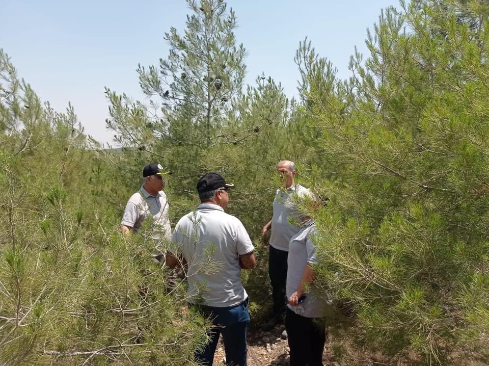 Şanlıurfa Orman Bölge Müdürlüğü Ağaç Dikim Çalışmalarını Sürdürüyor
