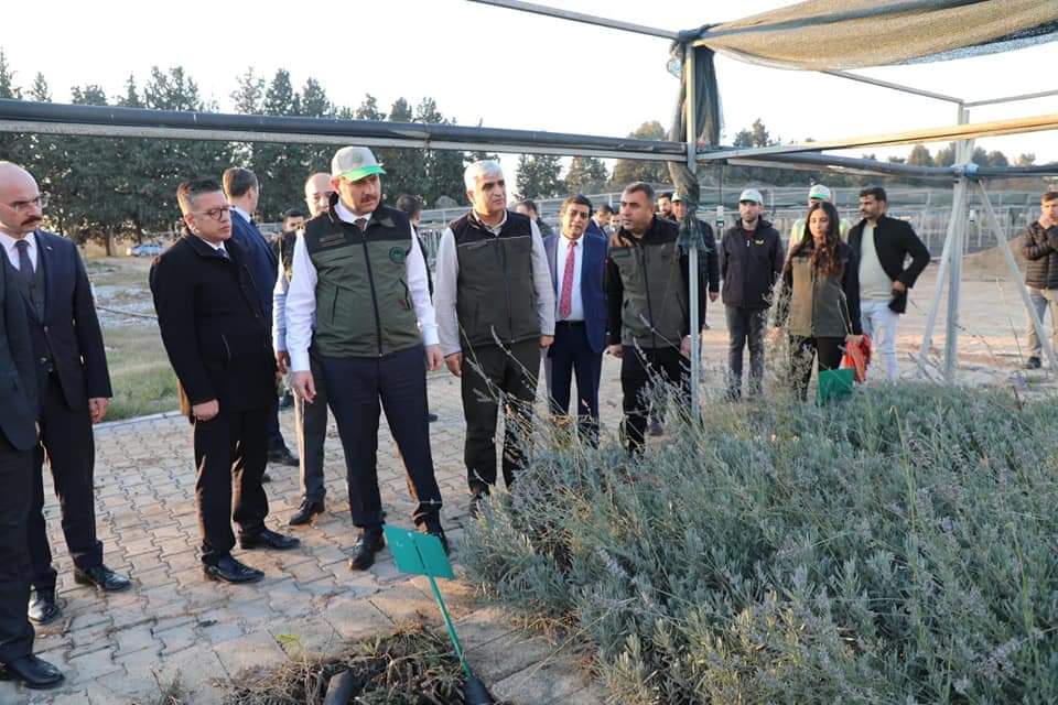 Şanlıurfa Valisi Salih Ayhan, Birecik Fidanlığımızda İncelemelerde Bulundu.