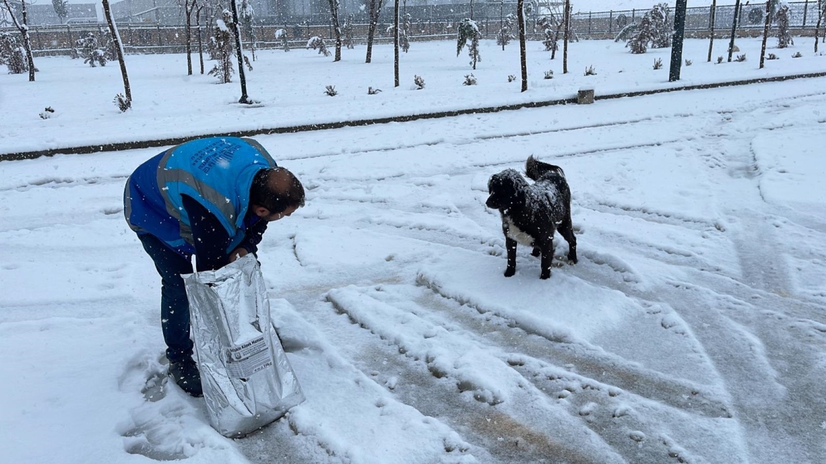 Spor Haberleri
