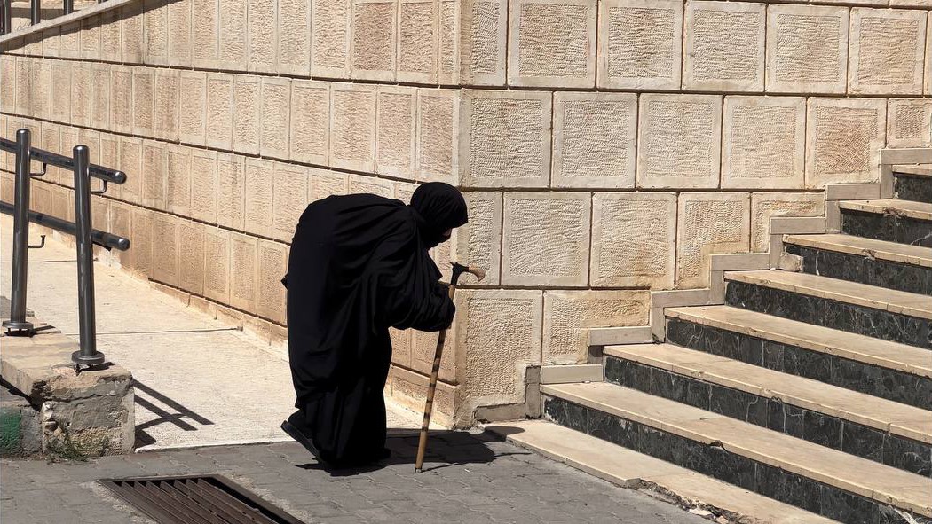 Şanlıurfa'da Asırlık çınar sandığa yürüyerek gitti