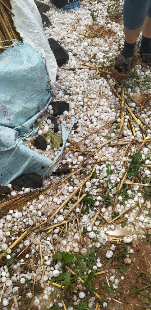 Şanlıurfa Siverek'te ceviz büyüklüğünde dolu yağdı