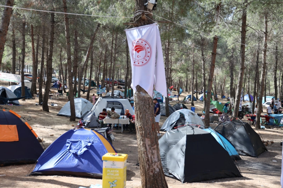 şanlıurfa ormanında çöp toplama