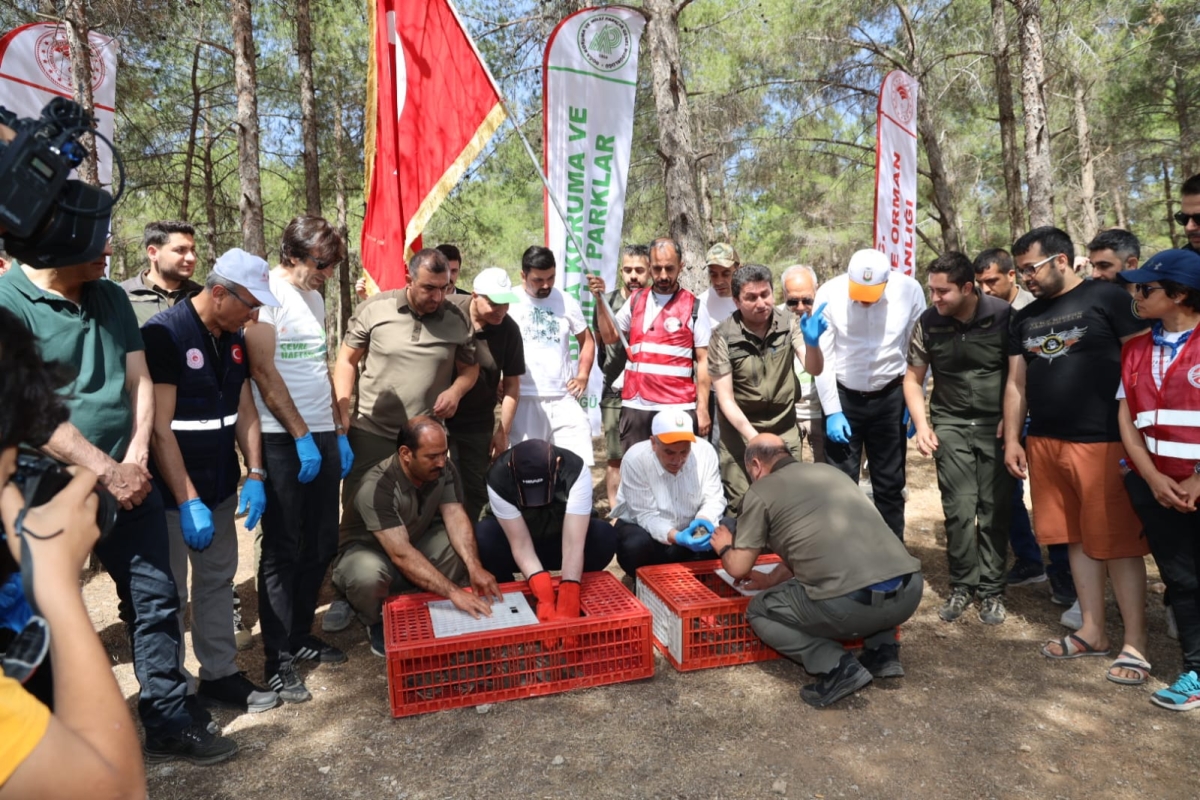 şanlıurfa ormanında çöp toplama