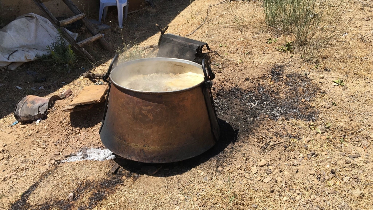 Şifa deposu geleneksel dut pekmezi yapımı sürüyor