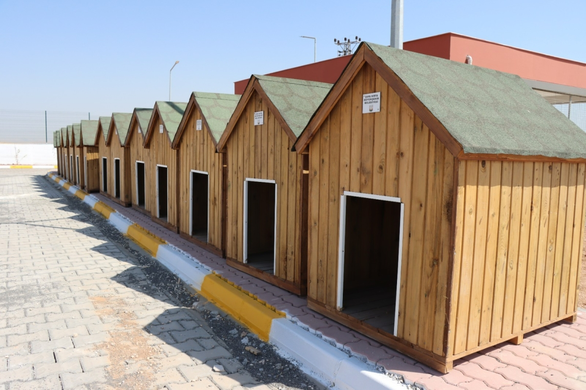SOKAK HAYVANLARI REHABİLİTASYON MERKEZİ İNŞAATI TAMAMLANDI