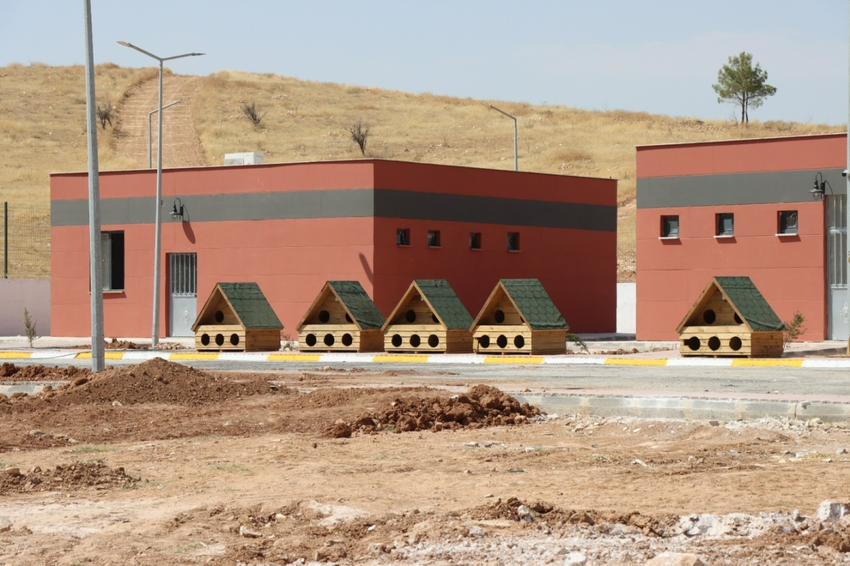 SOKAK HAYVANLARI REHABİLİTASYON MERKEZİ İNŞAATI TAMAMLANDI