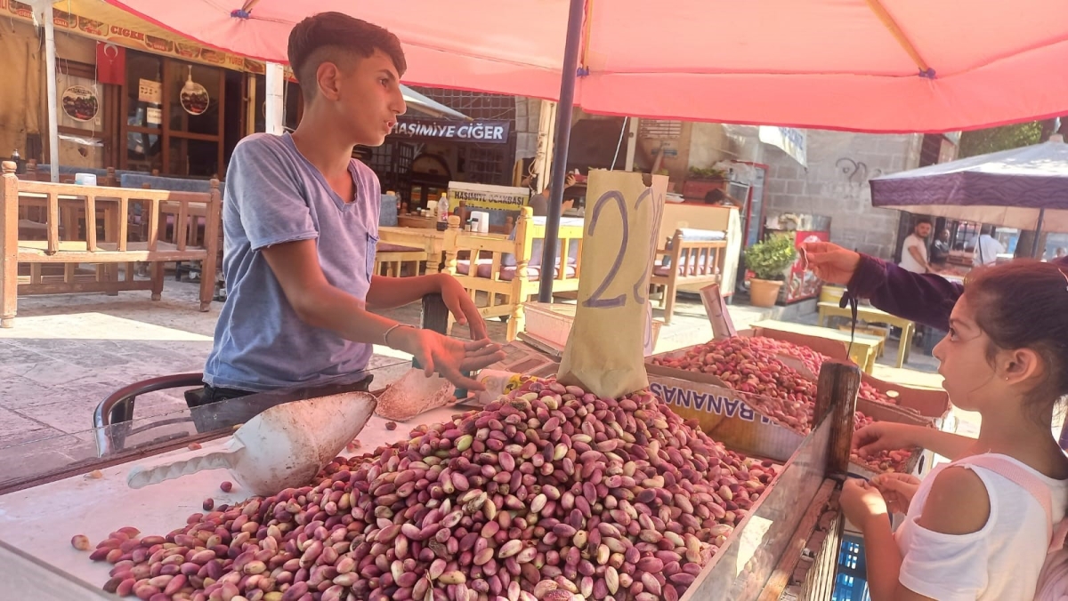 Fıstık Fiyatları Cep Yakıyor