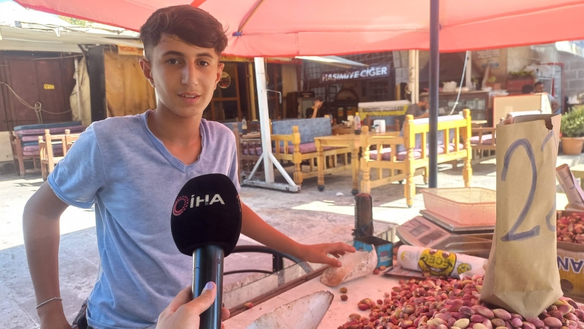 Fıstık Fiyatları Cep Yakıyor