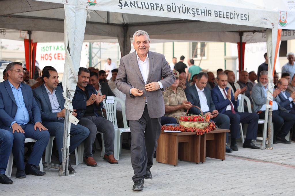 ŞANLIURFA’NIN TESCİLLİ LEZZETİ İSOTUN HASADI YAPILDI